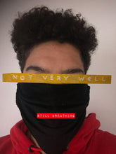 Load image into Gallery viewer, Masks
